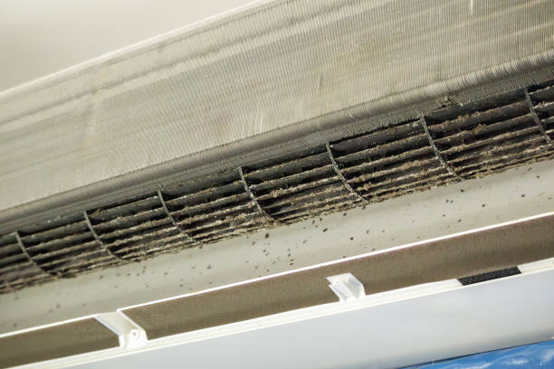 Best HVAC System Cleaning  in Creswell, OR
